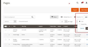 Export Cms Pages Magento
